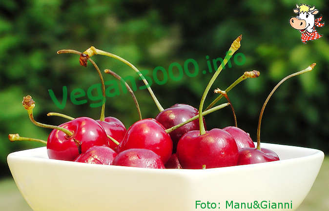 Foto numero 1 della ricetta Cherry focaccine