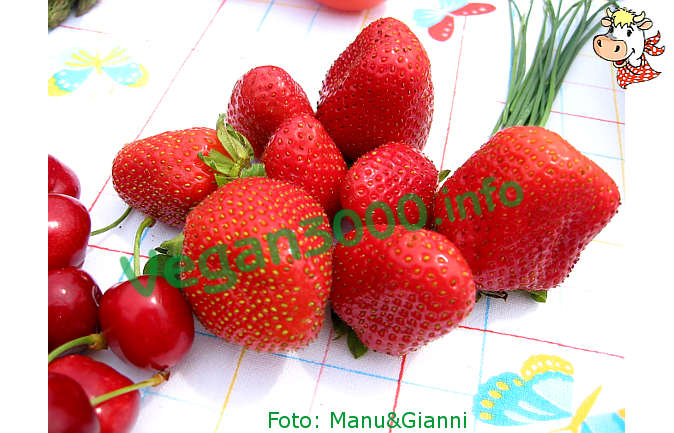 Foto numero 1 della ricetta Gazpacho with strawberries