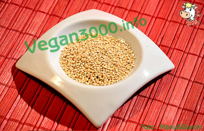 Foto numero 1 della ricetta Polpette di quinoa con zucca e spinaci