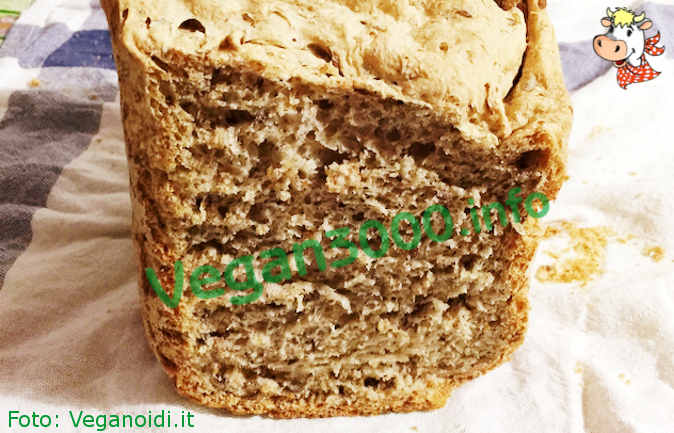 Foto numero 1 della ricetta Bread (homemade)-(4)