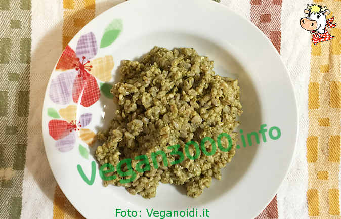 Foto numero 1 della ricetta Farro perlato al pesto di basilico