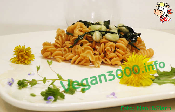 Foto numero 1 della ricetta Lentil fusilli with fava beans and dandelion