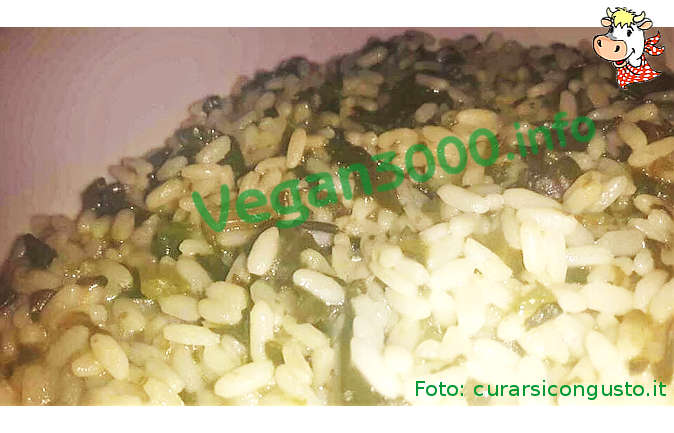 Foto numero 1 della ricetta Risotto agli spinaci