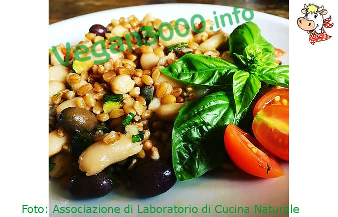 Foto numero 1 della ricetta Spelt salad with cannellini beans