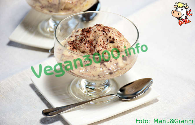 Foto numero 1 della ricetta Gelato vegan alla stracciatella