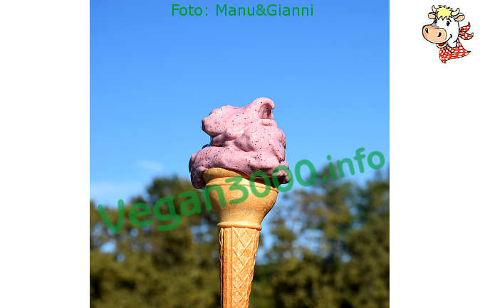 Foto numero 2 della ricetta Vegan stracciatella ice cream