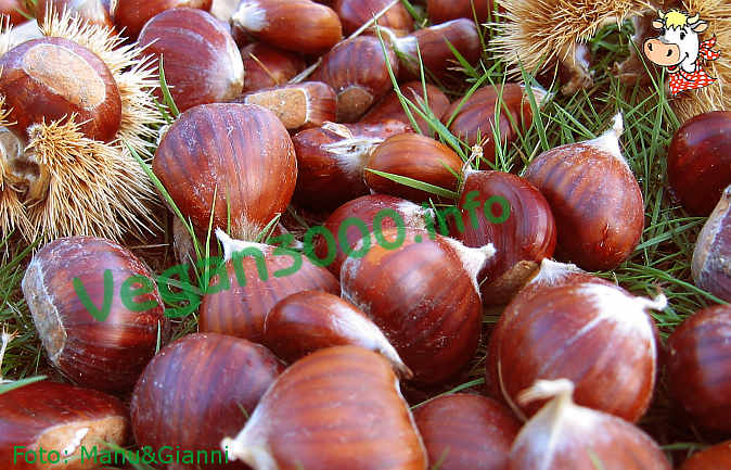 Foto numero 1 della ricetta Yule log with chestnuts