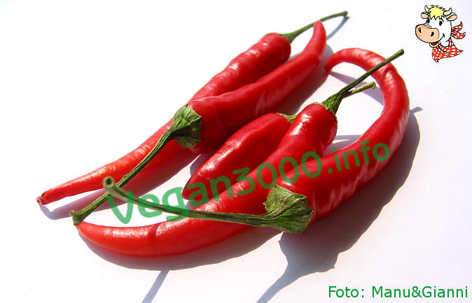 Foto numero 1 della ricetta Salsa piccante