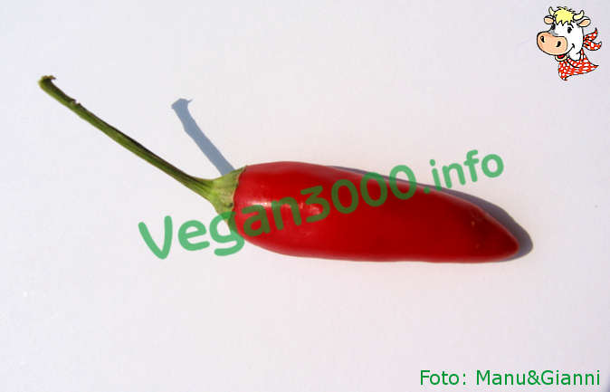 Foto numero 1 della ricetta Aceto aromatizzato al peperoncino