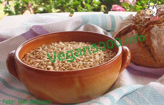 Foto numero 1 della ricetta Zuppa di farro con zucchine