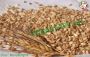 CEREALI: Farro