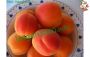 Apricot sorbet