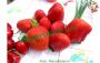 Gazpacho con le fragole