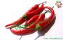 Spicy sauce