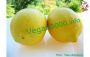 Limoncello (1)