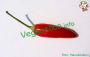 Aceto aromatizzato al peperoncino