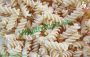 Fusilli al tofu e zucca