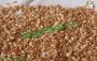 Farro con zucca e tofu marinati
